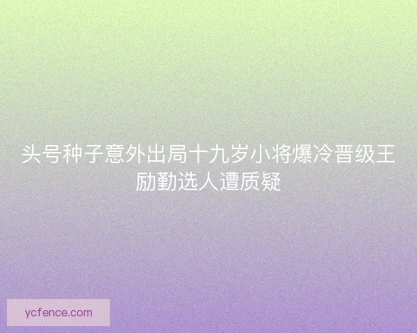 头号种子意外出局十九岁小将爆冷晋级王励勤选人遭质疑